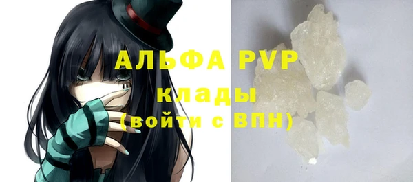 стаф Абинск