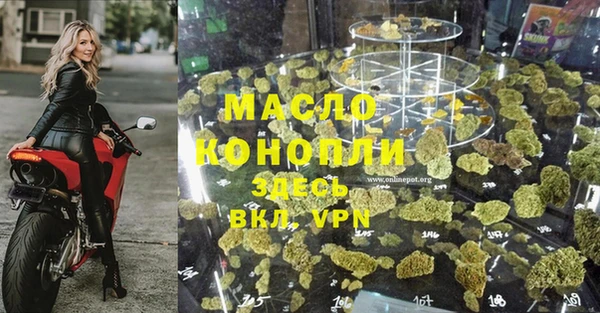 стаф Абинск