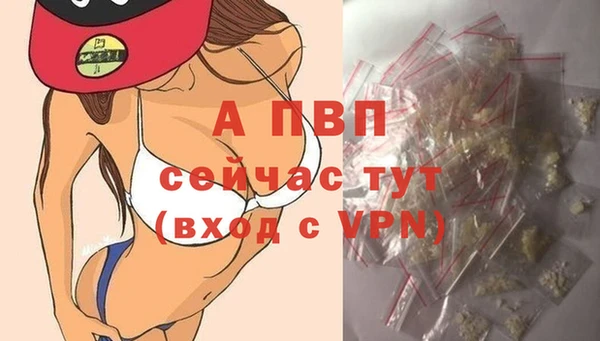 стаф Абинск
