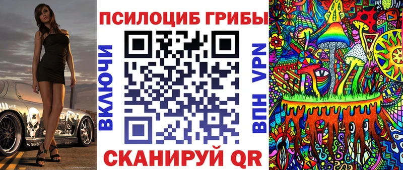 закладка Тарко-Сале Псилоцибиновые грибы GOLDEN TEACHER
